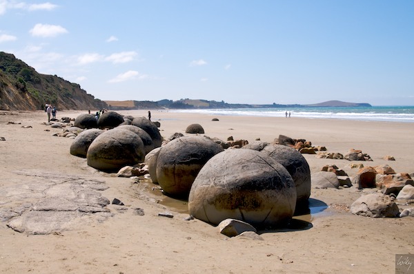 New Zealand 09 10  194